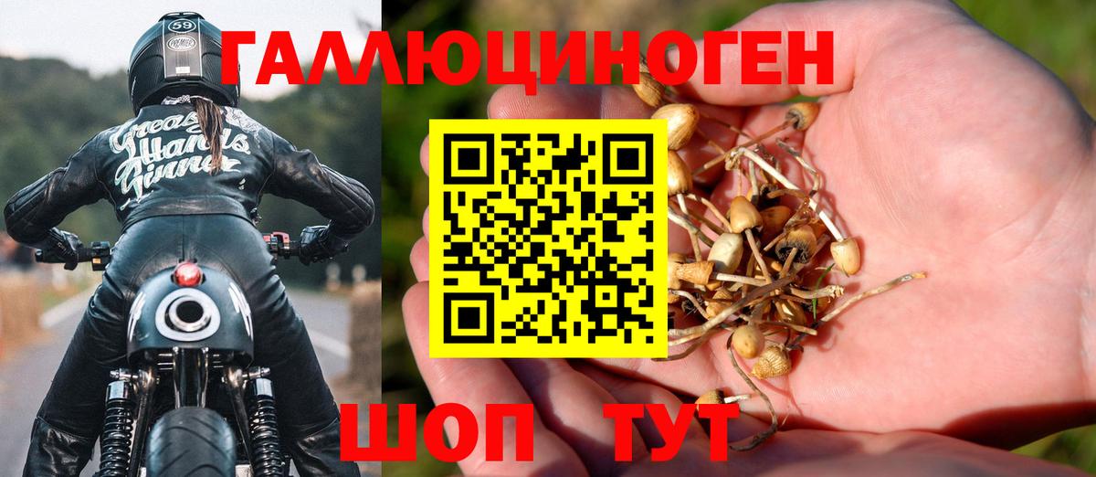 Псилоцибиновые грибы Psilocybe  Вход с VPN  Златоуст 